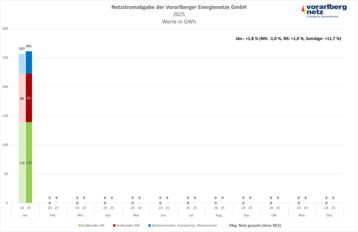 Netzstromabgabe